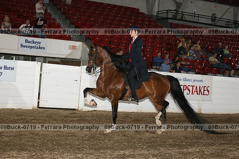 Proof 09buck-0719