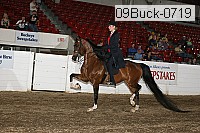 09buck-0719 proof