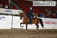 09buck-0721 proof