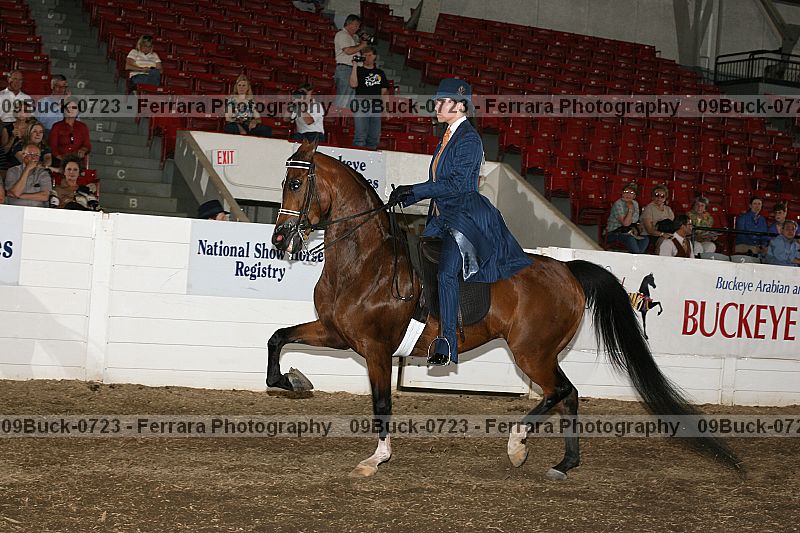 Proof 09buck-0723
