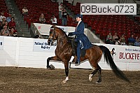 09buck-0723 proof