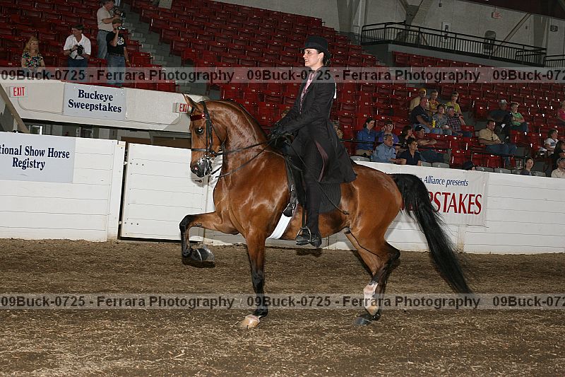 Proof 09buck-0725