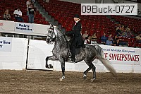 09buck-0727 proof