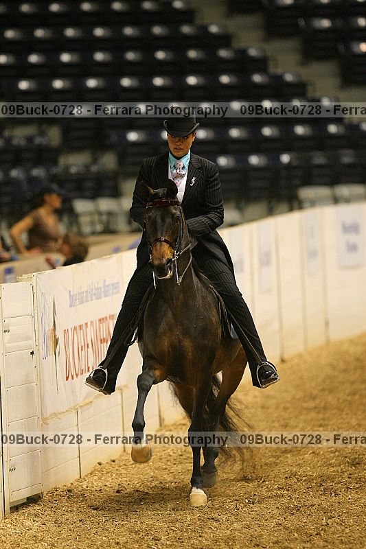 Proof 09buck-0728