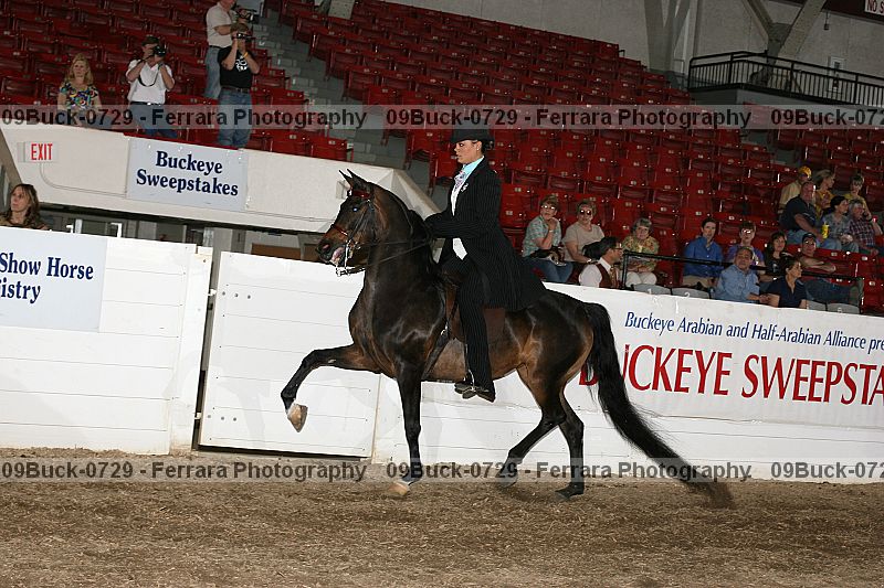 Proof 09buck-0729