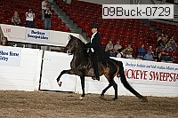 09buck-0729 proof
