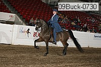 09buck-0730 proof