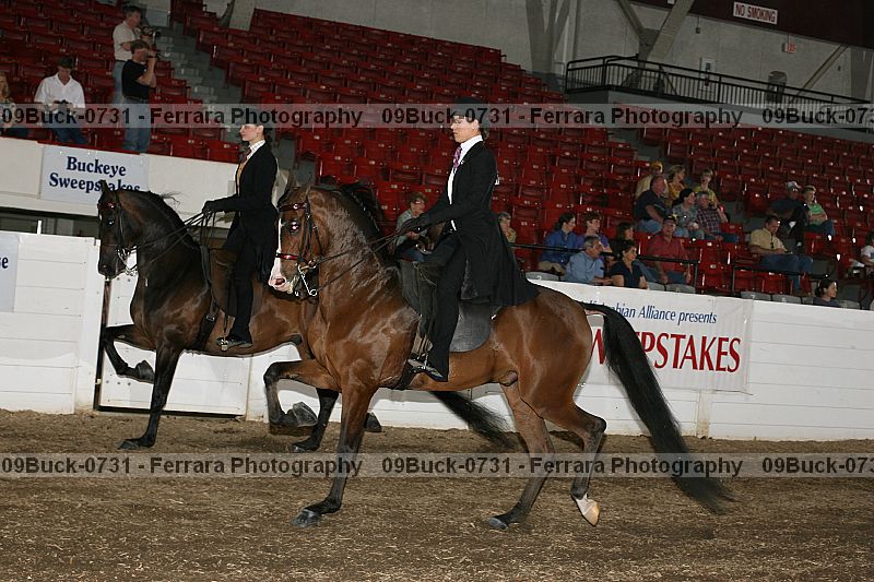 Proof 09buck-0731