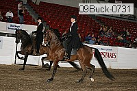 09buck-0731 proof