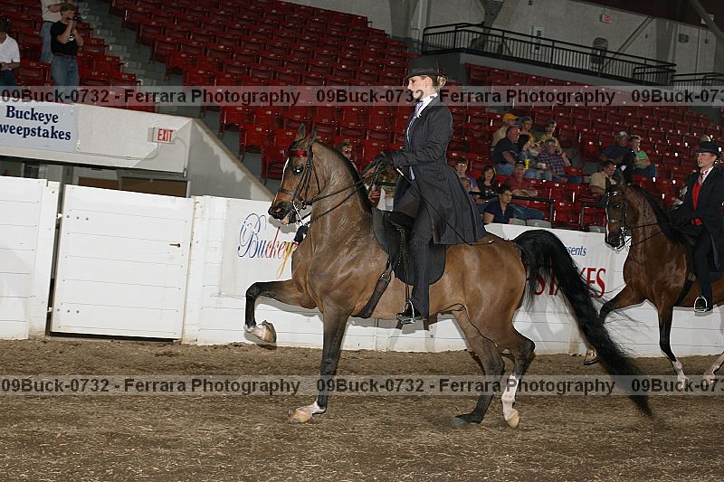 Proof 09buck-0732
