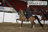 09buck-0732 proof