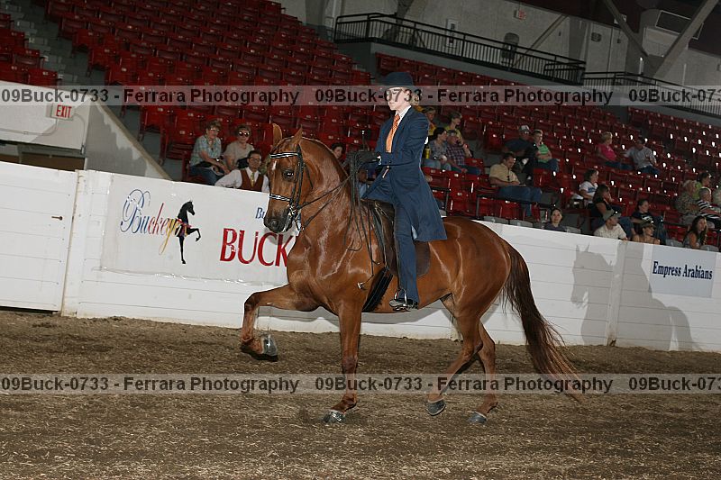Proof 09buck-0733