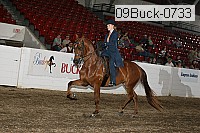 09buck-0733 proof