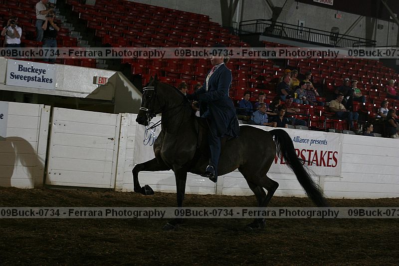 Proof 09buck-0734