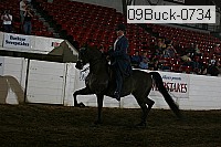 09buck-0734 proof