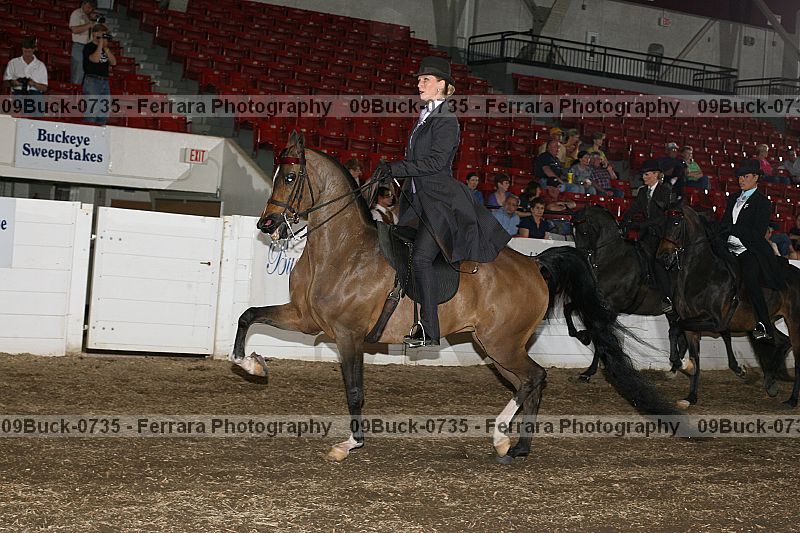 Proof 09buck-0735