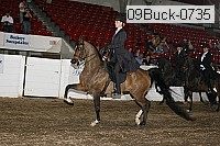 09buck-0735 proof