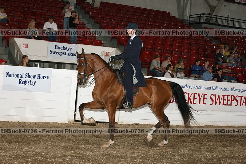 Proof 09buck-0736