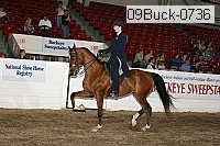 09buck-0736 proof