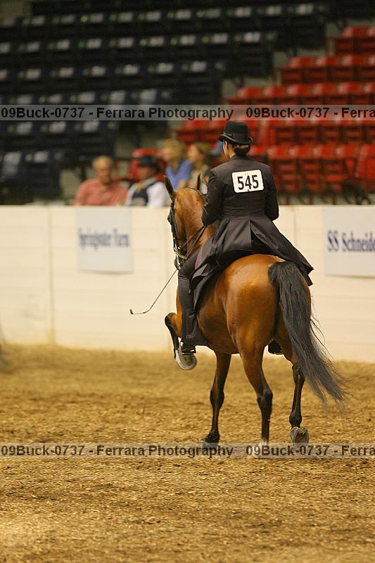 Proof 09buck-0737