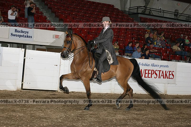 Proof 09buck-0738
