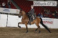 09buck-0738 proof