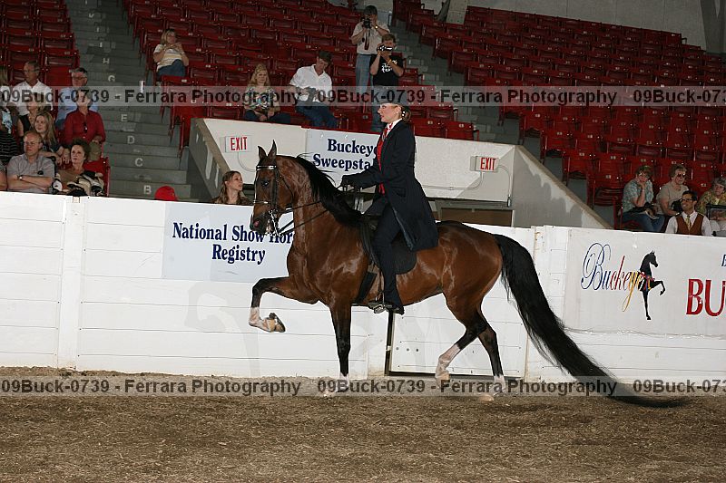 Proof 09buck-0739