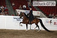 09buck-0739 proof