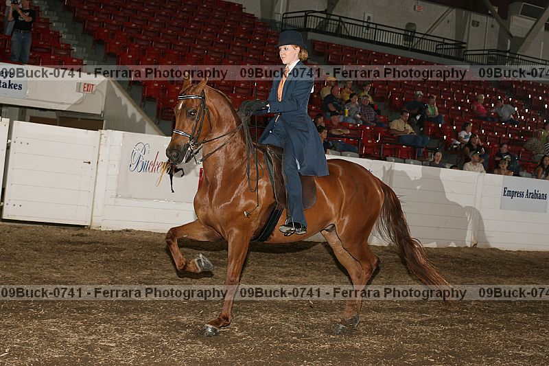 Proof 09buck-0741