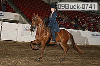 09buck-0741 proof