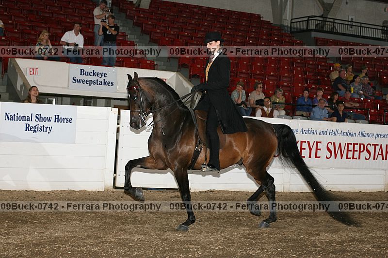 Proof 09buck-0742
