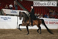 09buck-0742 proof