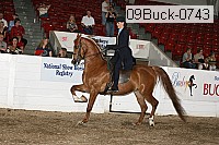 09buck-0743 proof