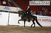 09buck-0744 proof