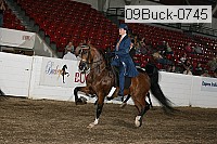 09buck-0745 proof