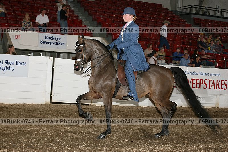 Proof 09buck-0746