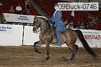 09buck-0746 proof