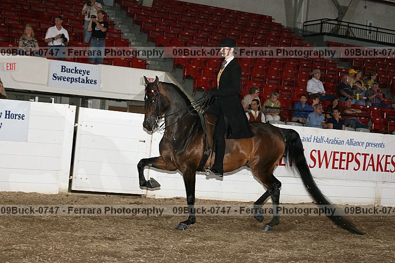 Proof 09buck-0747