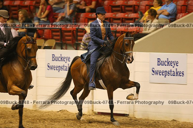 Proof 09buck-0748