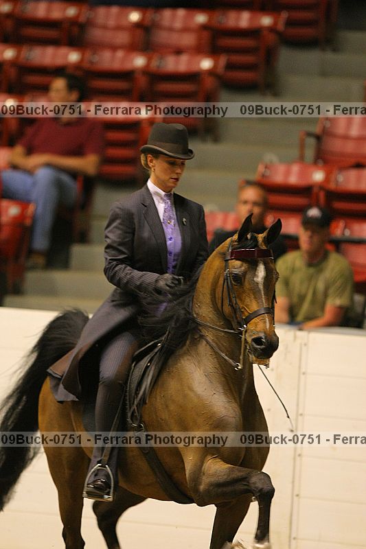Proof 09buck-0751