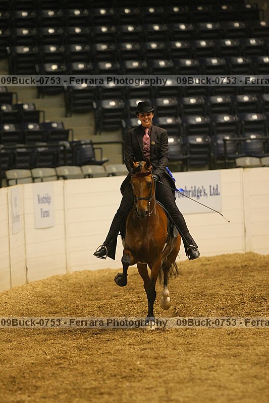 Proof 09buck-0753