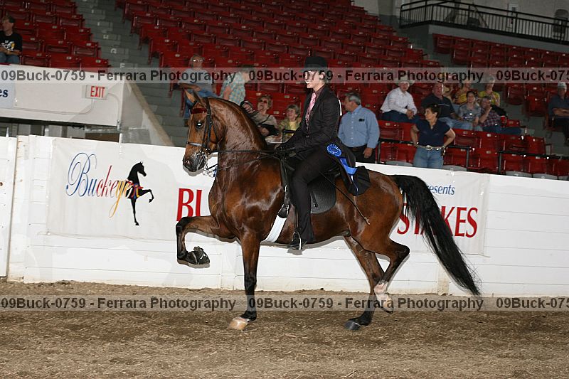 Proof 09buck-0759