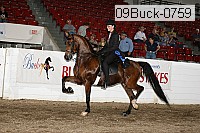 09buck-0759 proof