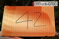 09buck-0760 proof