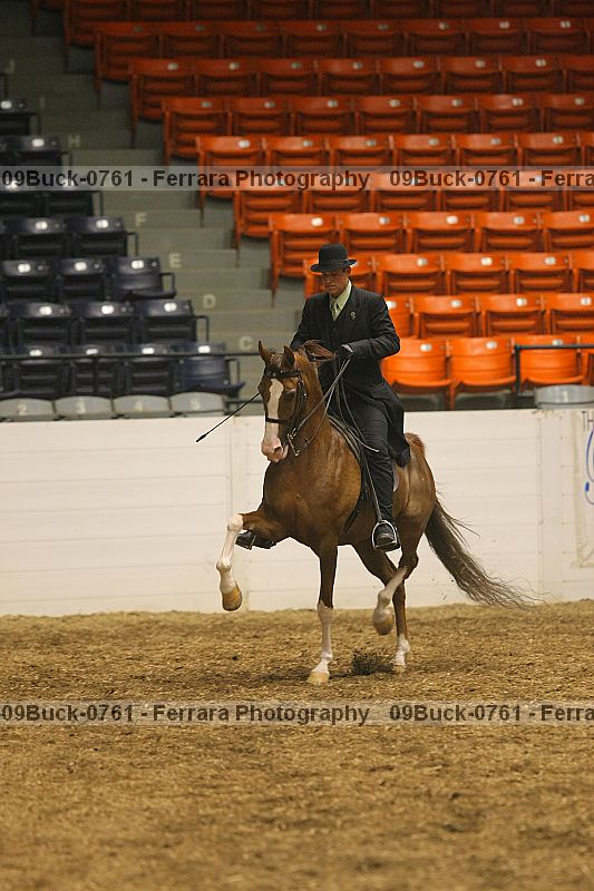 Proof 09buck-0761