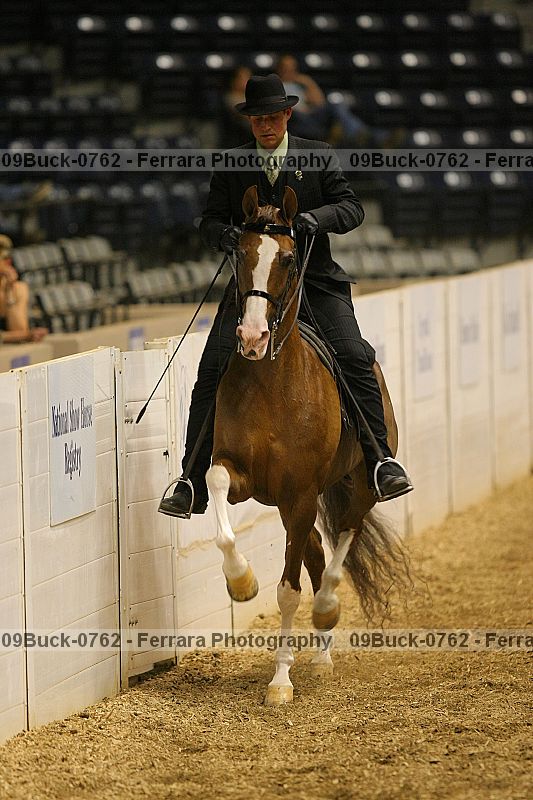 Proof 09buck-0762