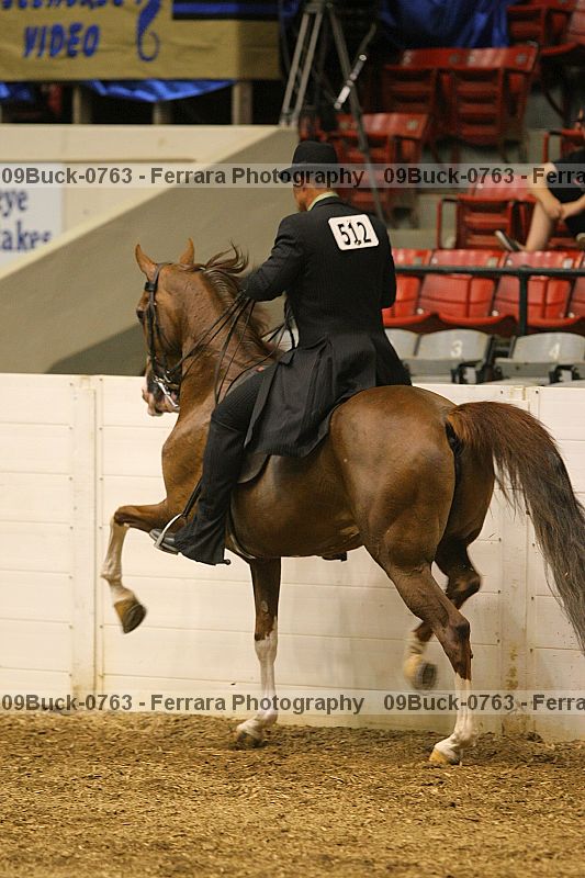Proof 09buck-0763