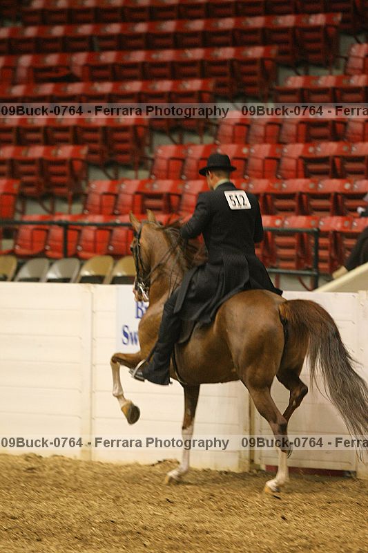 Proof 09buck-0764