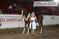09buck-0765 proof