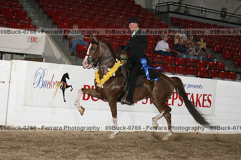 Proof 09buck-0766